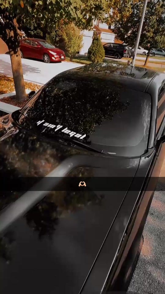 Post 5 by 🦅 on TikTok (video)