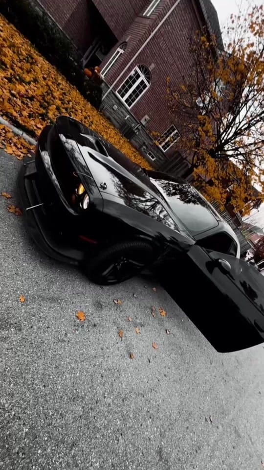 Post 2 by 🦅 on TikTok (video)