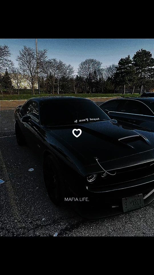 Post 1 by 🦅 on TikTok (video)