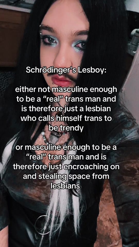 Post 8 by Schrödinger's Lesboy on TikTok (video)