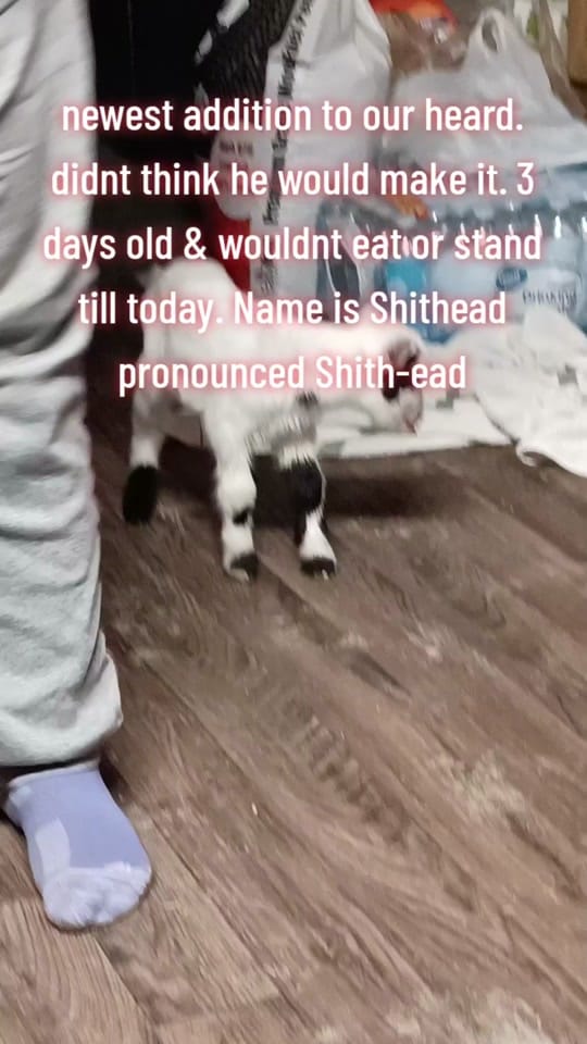 Post 7 by countryuproar on TikTok (video)