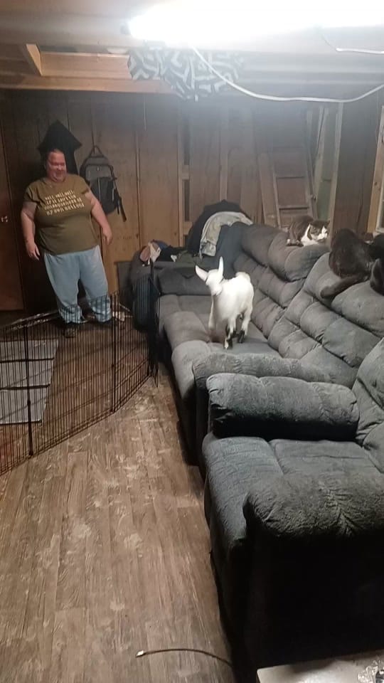 Post 2 by countryuproar on TikTok (video)
