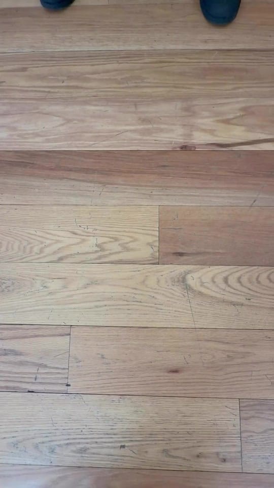 Post 7 by NoCo on TikTok (video)