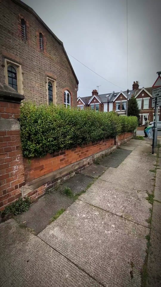 Post 5 by Gary Hall Garden Services on TikTok (video)