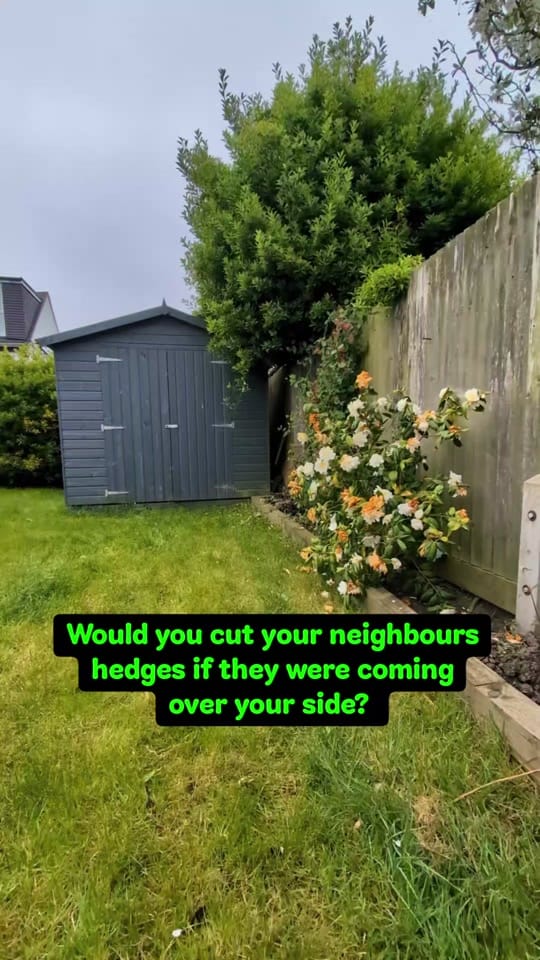 Post 8 by Gary Hall Garden Services on TikTok (video)