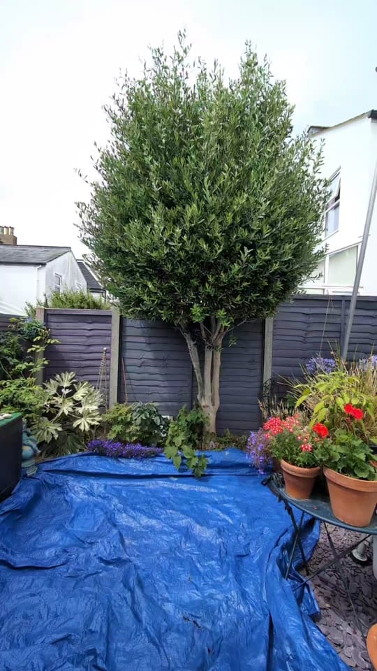 Post 10 by Gary Hall Garden Services on TikTok (video)