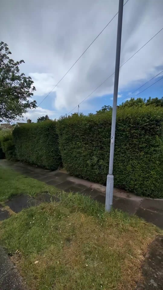 Post 6 by Gary Hall Garden Services on TikTok (video)
