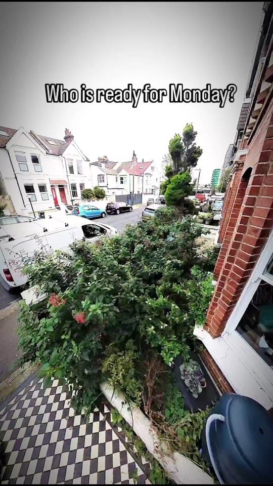 Post 1 by Gary Hall Garden Services on TikTok (video)