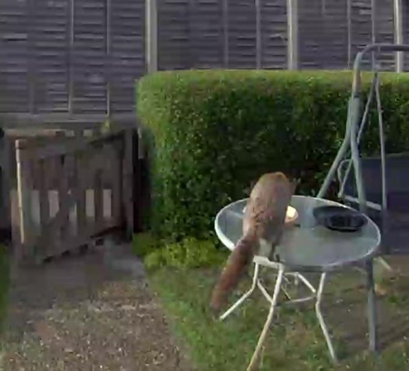 Post 3 by Seany_kennedy_82 on TikTok (video)
