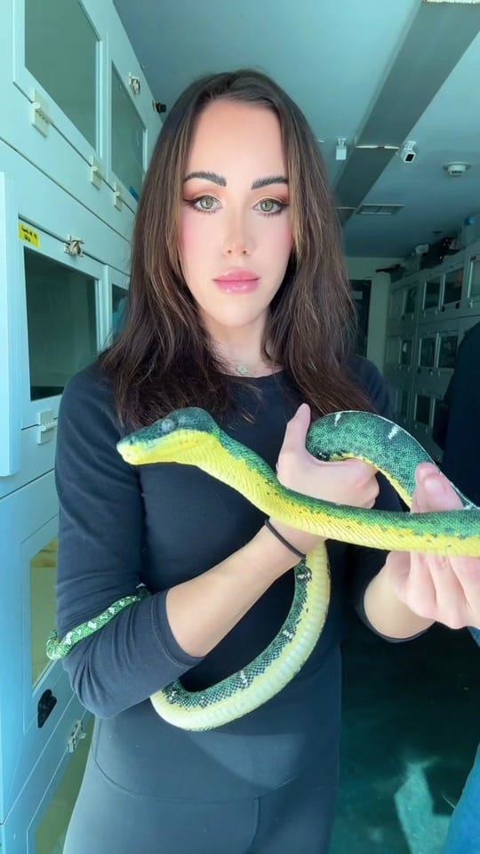Post 3 by Tara Rain on TikTok (video)