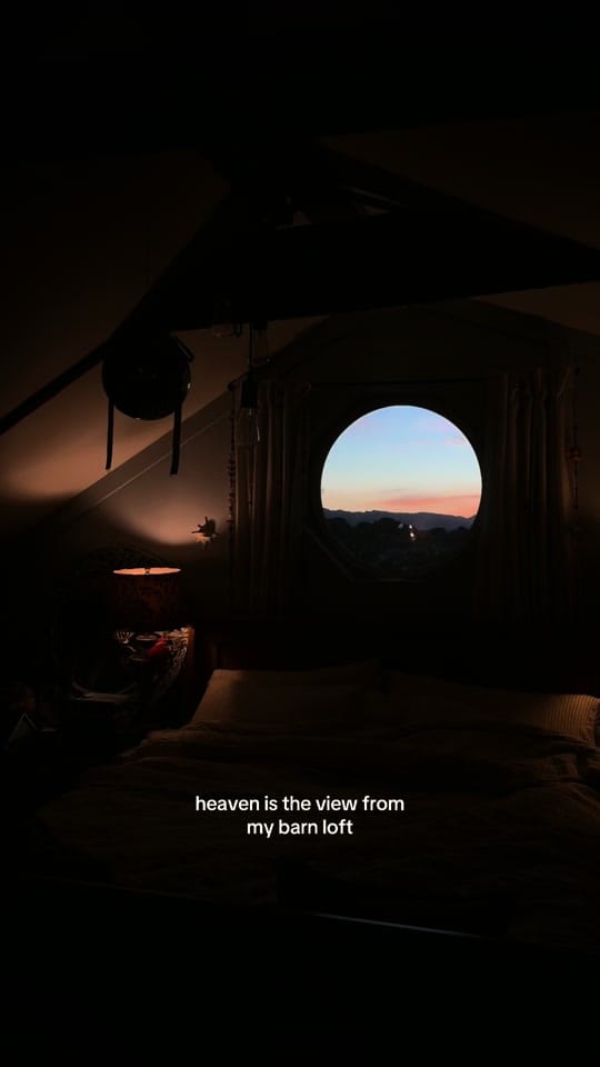 Post 4 by lily 🪩🌈 on TikTok (video)