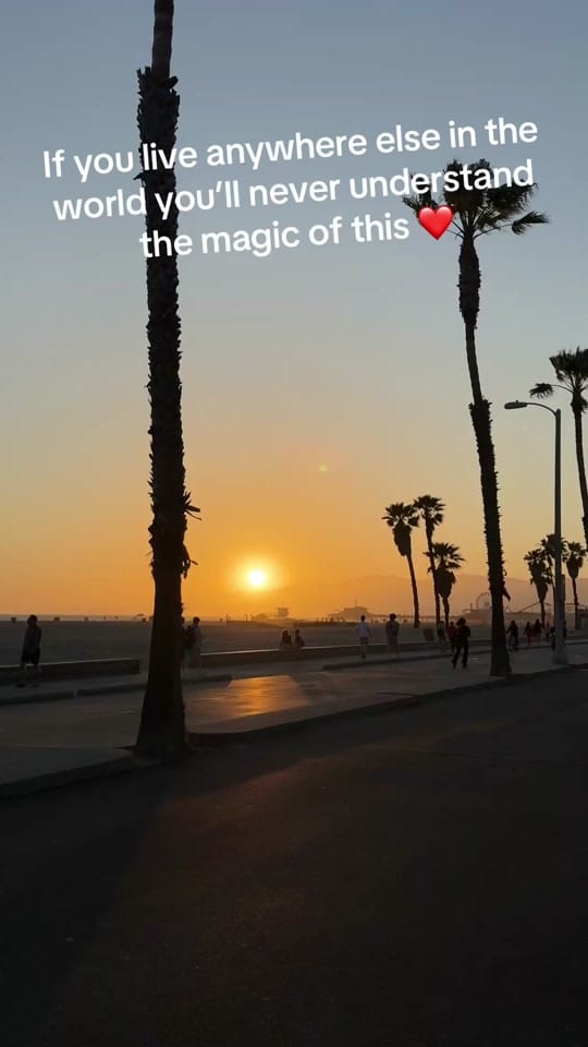 Post 3 by _camerongreco on TikTok (video)