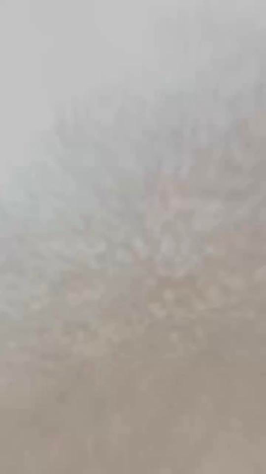 Post 1 by Thebigsofawarehouse on TikTok (video)