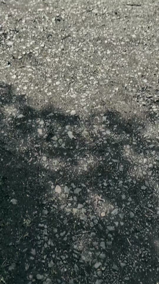 Post 3 by Robert V. on TikTok (video)