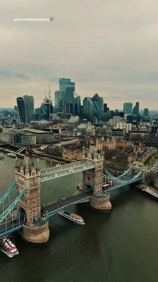 Post 3 by Ammar Elhamamsy on TikTok (video)