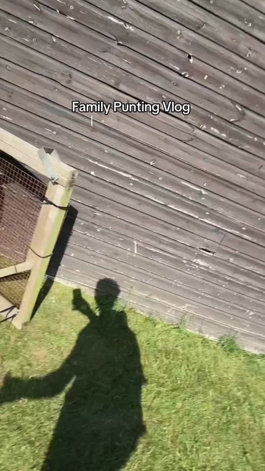 Post 7 by Ummar-Ali Mal on TikTok (video)