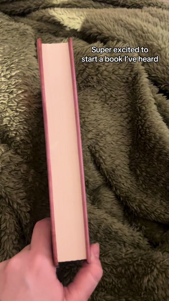 Post 4 by The London Bookworm on TikTok (video)