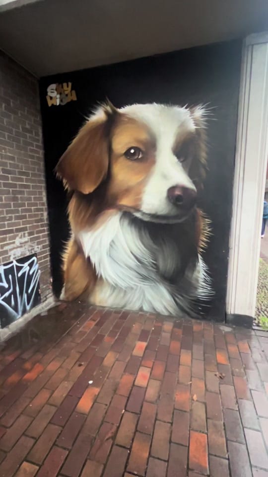 Post 7 by The London Bookworm on TikTok (video)