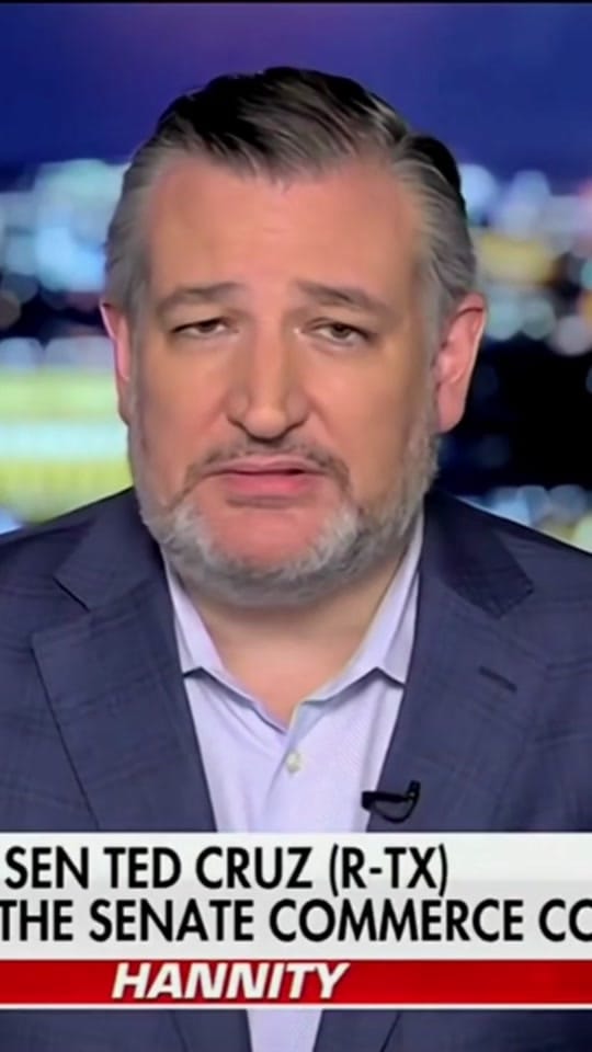 Post 4 by Ted Cruz on TikTok (video)