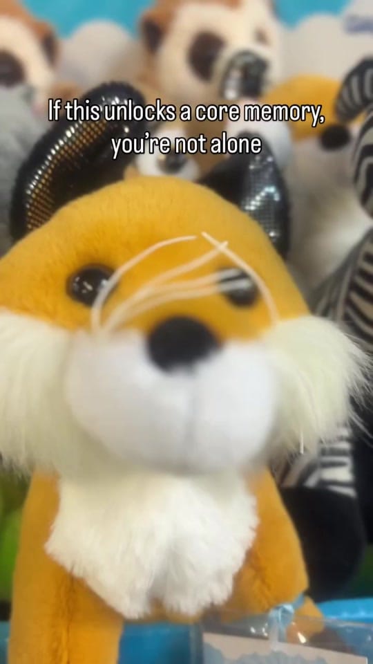 Post 5 by The Rock Space on TikTok (video)
