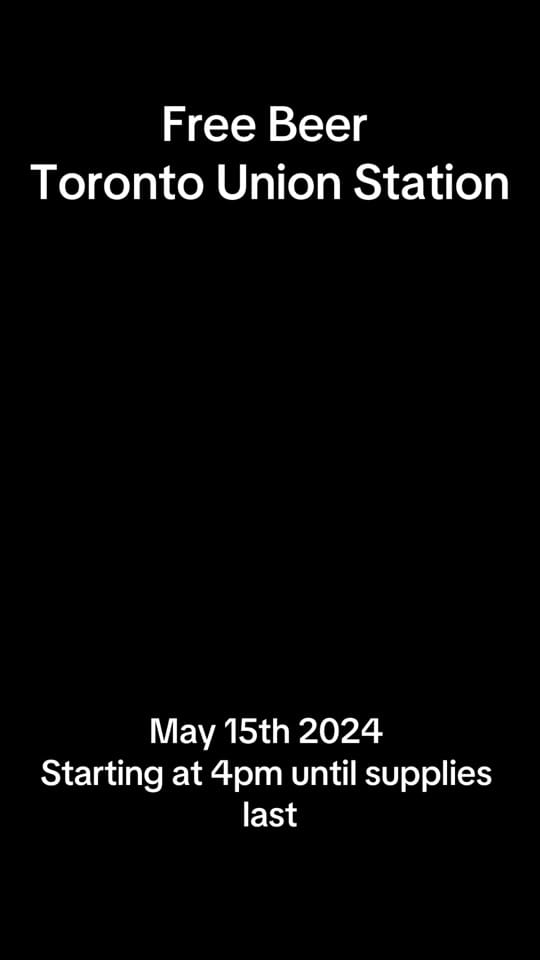 Post 3 by Toronto Chubby Donkey on TikTok (video)