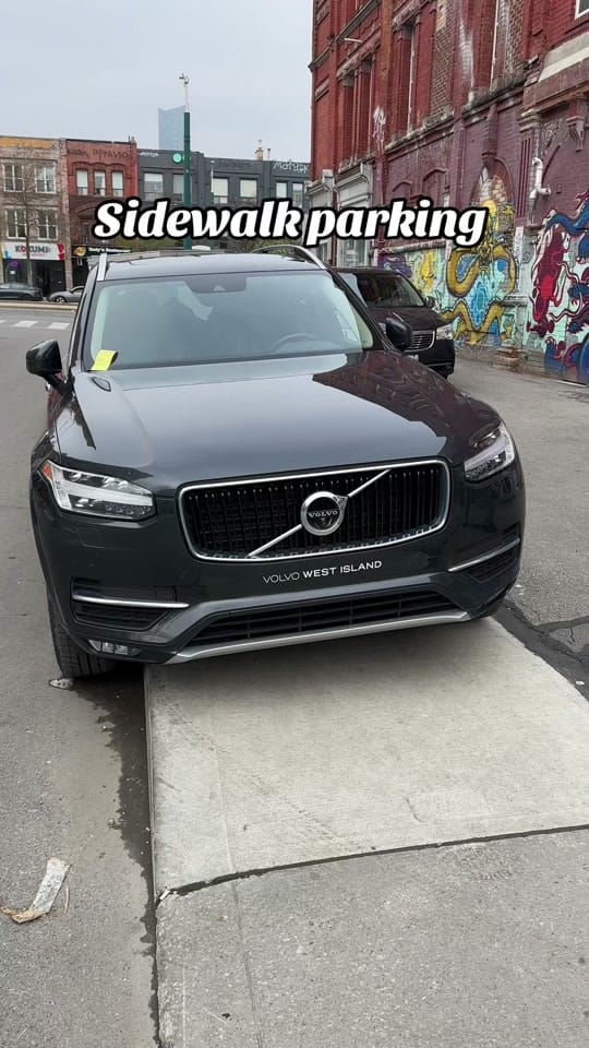 Post 7 by Toronto Chubby Donkey on TikTok (video)