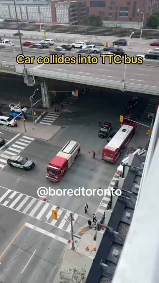 Post 2 by Toronto Chubby Donkey on TikTok (video)