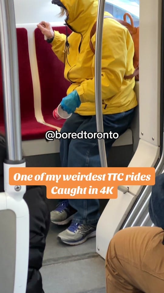 Post 9 by Toronto Chubby Donkey on TikTok (video)