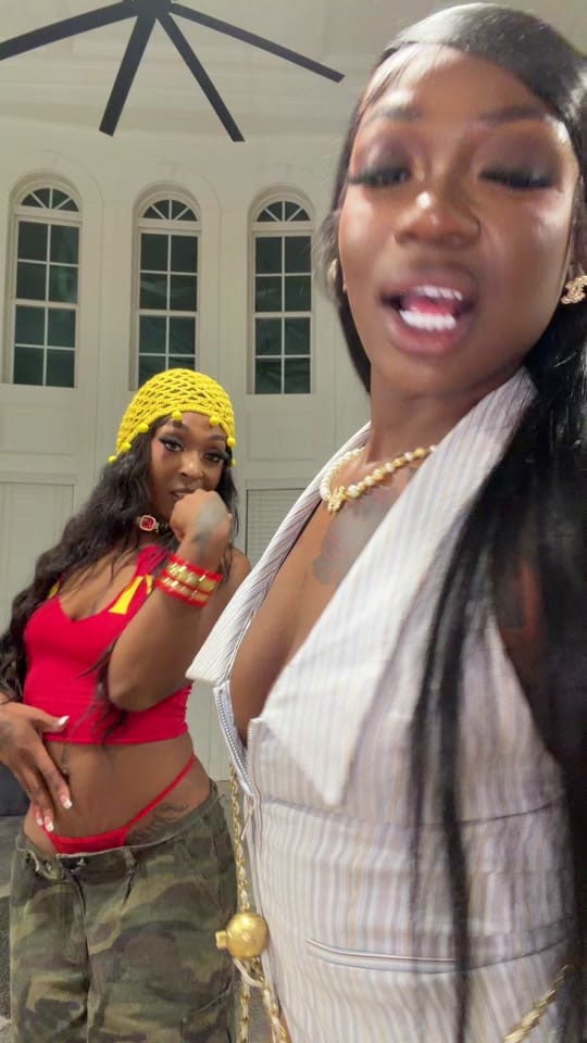 Post 1 by LIFEasAaliyahmarie on TikTok (video)