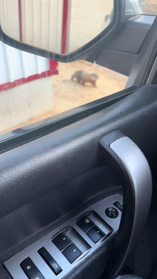 Post 10 by Candy❣️Snaggerty on TikTok (video)