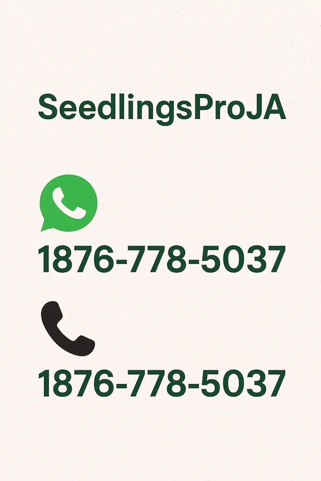 Post 9 by Seedlingsproja on TikTok (video)