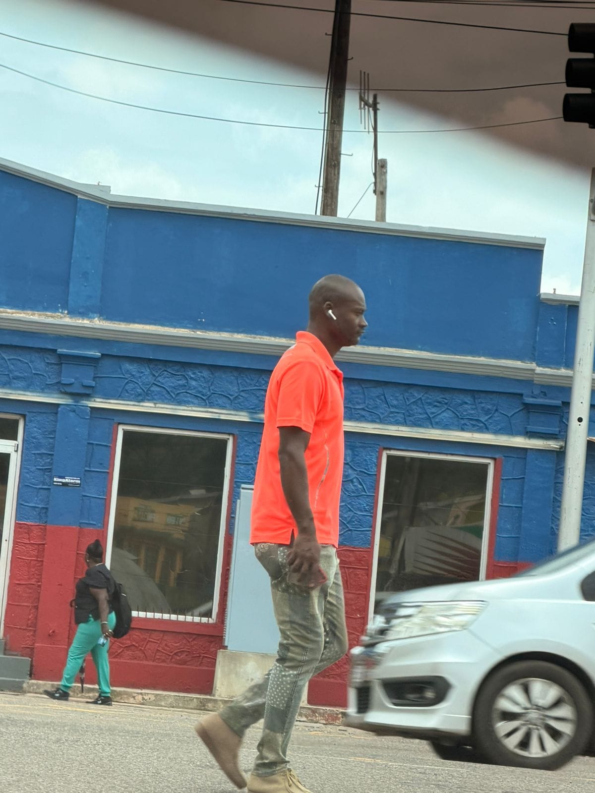 Post 2 by Seedlingsproja on TikTok (video)