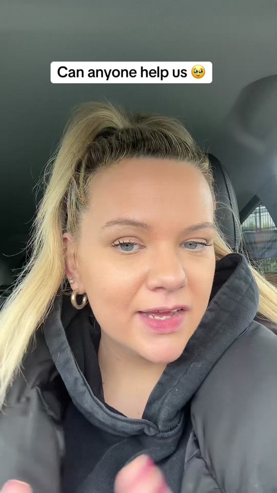 Post 5 by chaoticlifeofvik on TikTok (video)