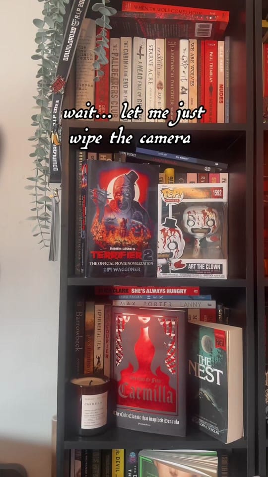 Post 2 by anna.reads.horror on TikTok (video)