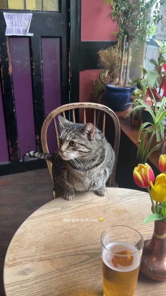 Post 9 by simonette ꩜ on TikTok (video)