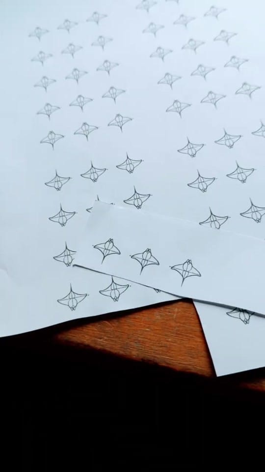 Post 10 by Kate on TikTok (video)