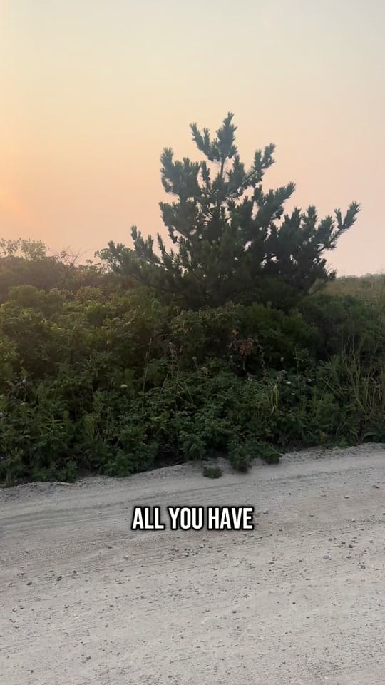 Post 5 by johndimuccio on TikTok (video)