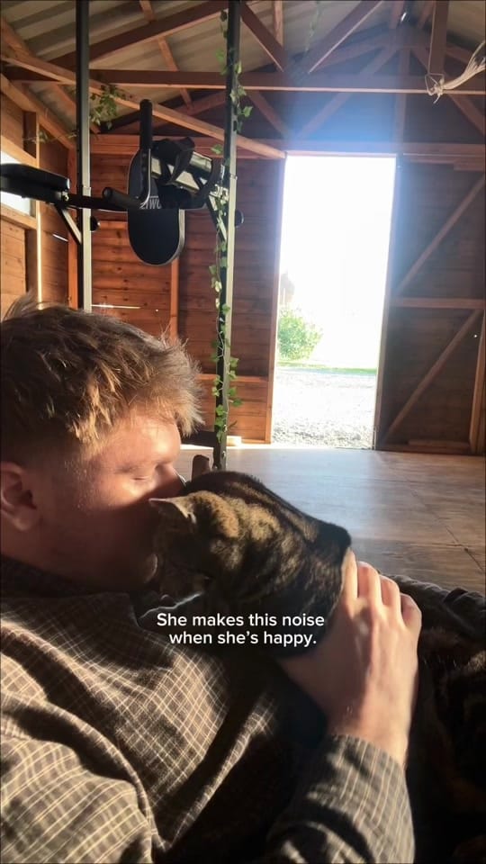 Post 9 by Harry & Lippy on TikTok (video)