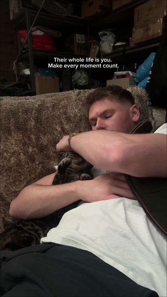 Post 8 by Harry & Lippy on TikTok (video)