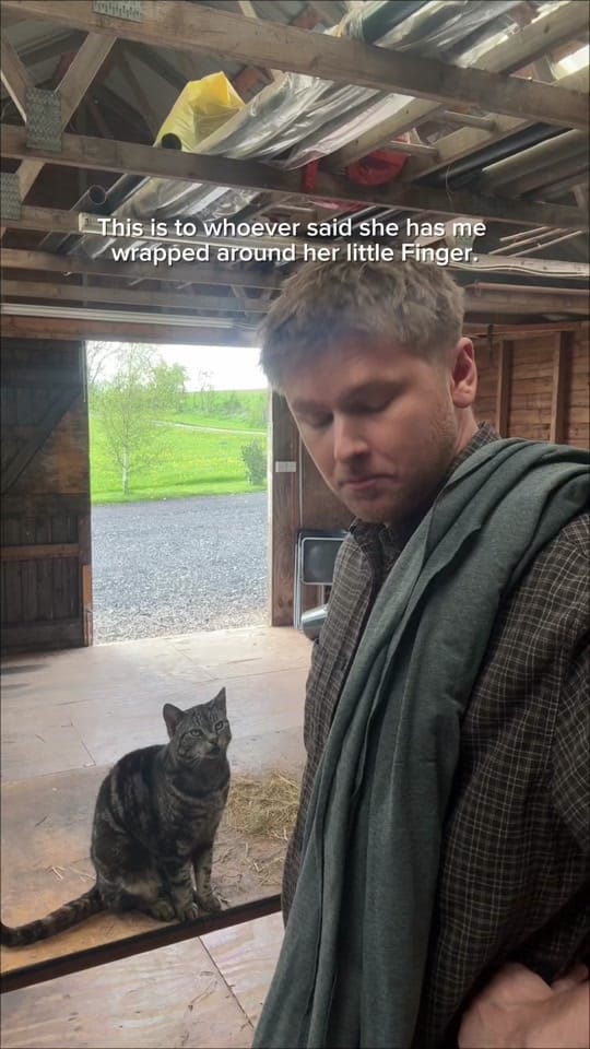 Post 1 by Harry & Lippy on TikTok (video)