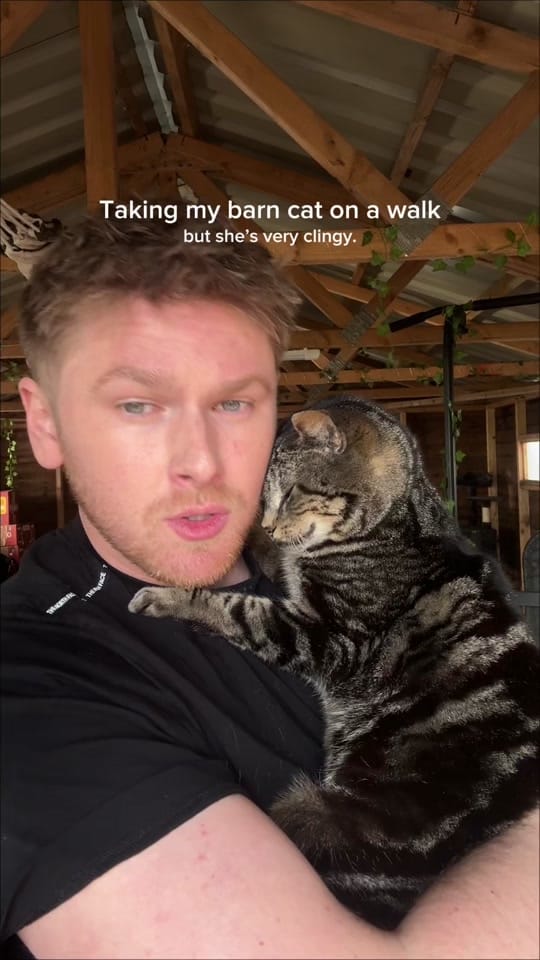 Post 4 by Harry & Lippy on TikTok (video)