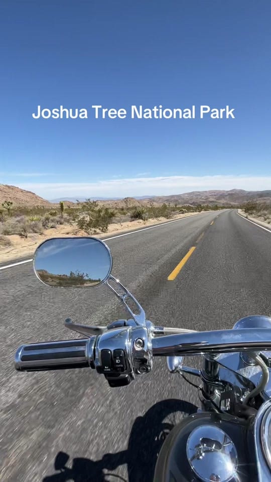 Post 7 by Jackson Perkins on TikTok (video)