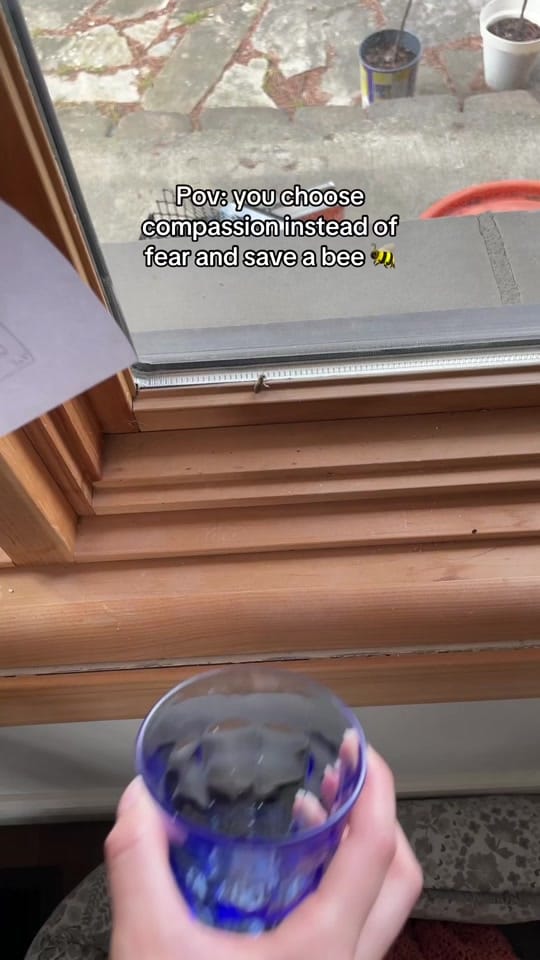 Post 6 by Sustainable living 🌱🇨🇦 on TikTok (video)