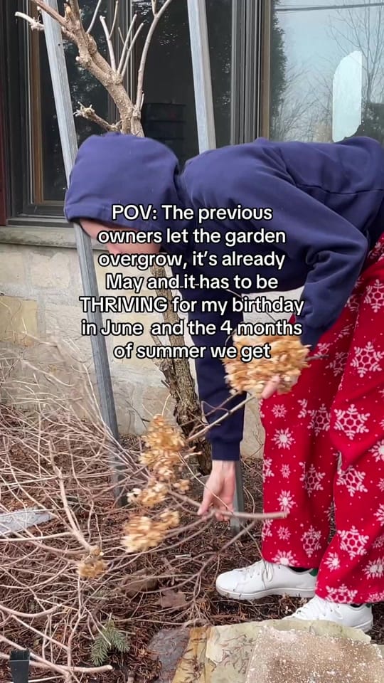 Post 2 by Sustainable living 🌱🇨🇦 on TikTok (video)