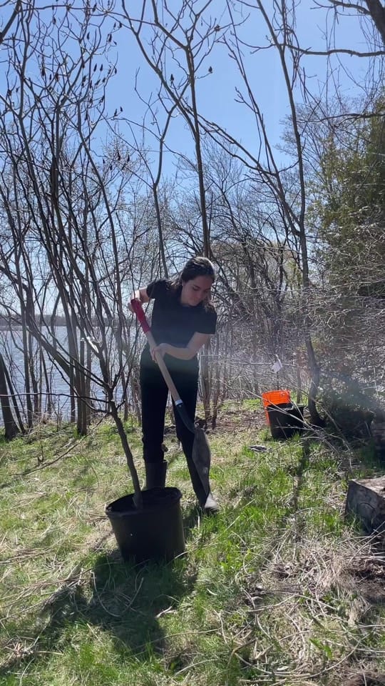 Post 1 by Sustainable living 🌱🇨🇦 on TikTok (video)