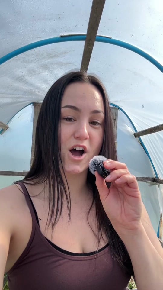 Post 6 by Millie's Plot on TikTok (video)