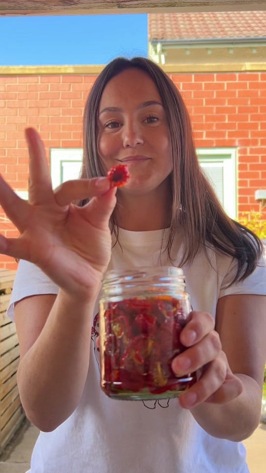 Post 8 by Millie's Plot on TikTok (video)