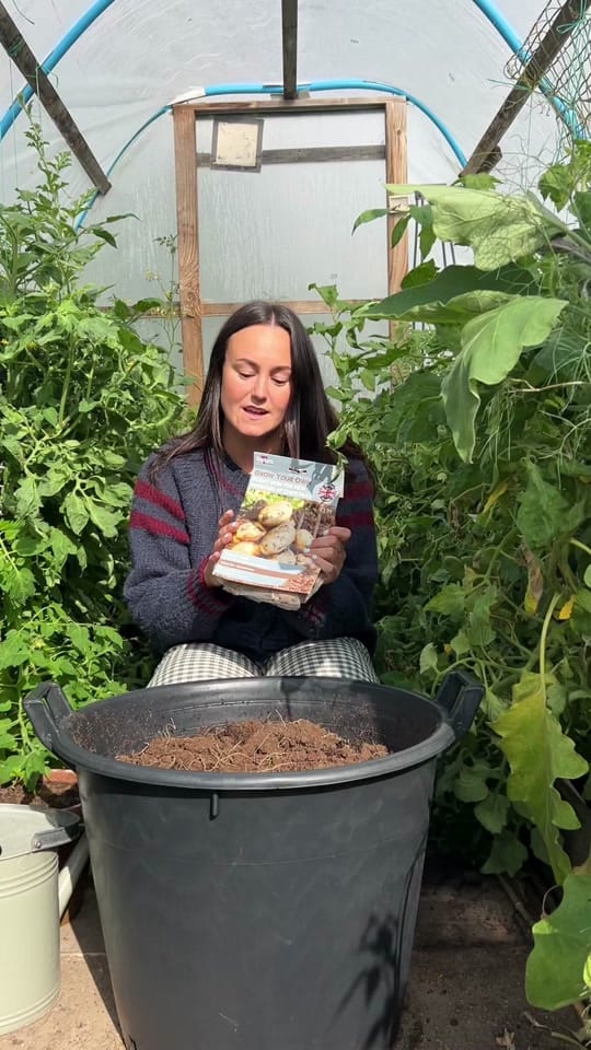Post 10 by Millie's Plot on TikTok (video)