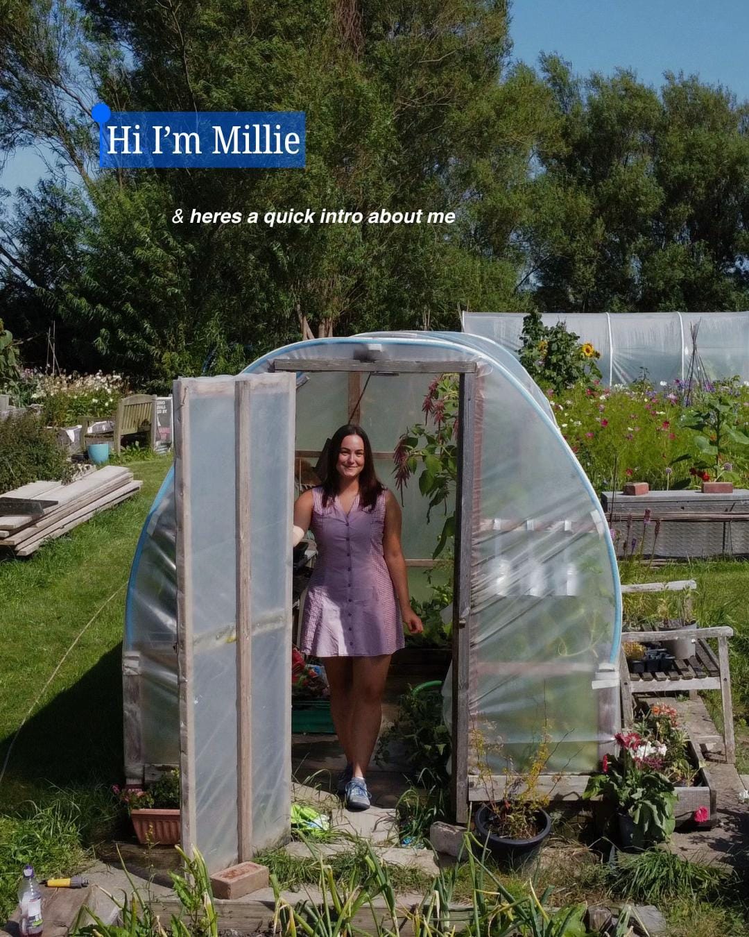 Post 5 by Millie's Plot on TikTok (video)