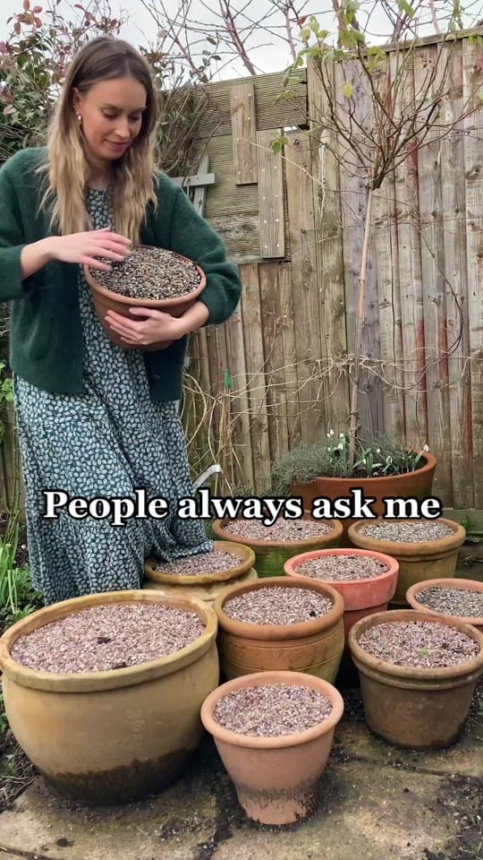 Post 9 by Emma Jo Real-Davies on TikTok (video)